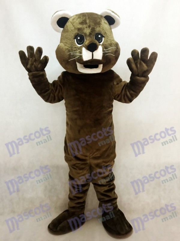 Brown Baby Cougar Maskottchen Kostüm Tier
