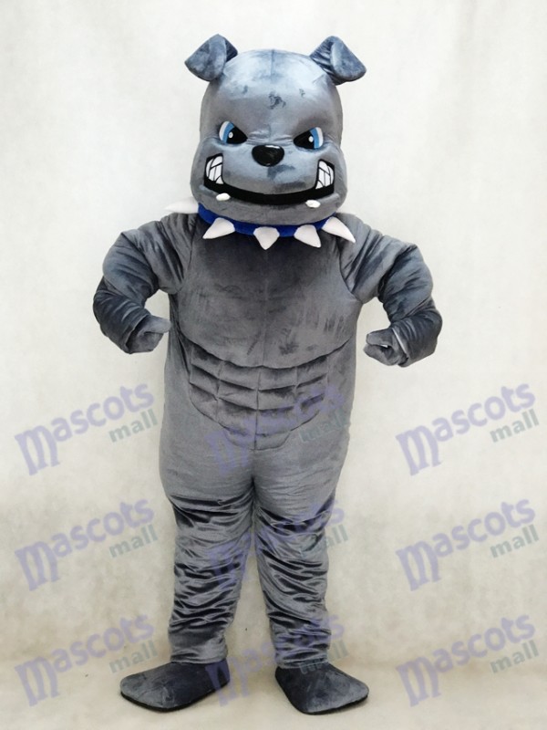 Neues graues Bulldog Maskottchen Kostüm Tier